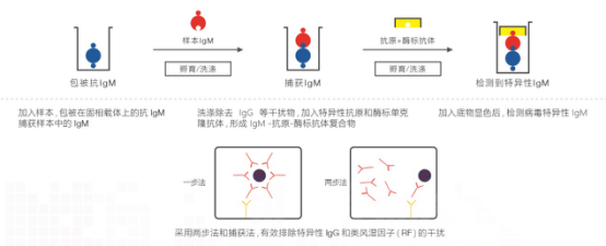 亞特斯 ToRCH檢測試劑盒 